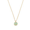 Talis38-crop-05