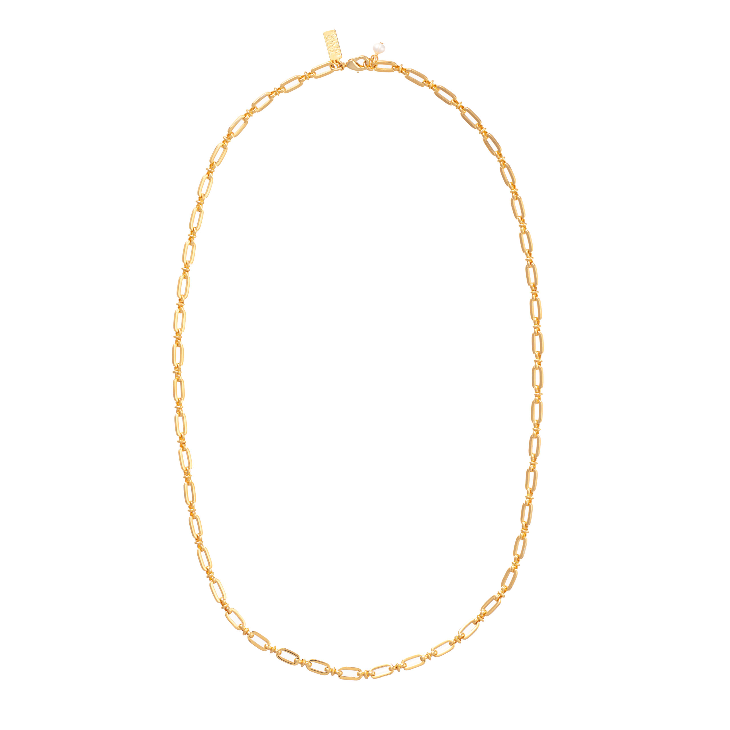 Califonia Long Chain Necklace £150