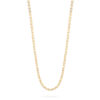 Belcher Chain Long- Gold 282A1451