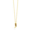 Shark Tooth Pendant Necklace- Watermelon Skin - Thumbnail Image 1